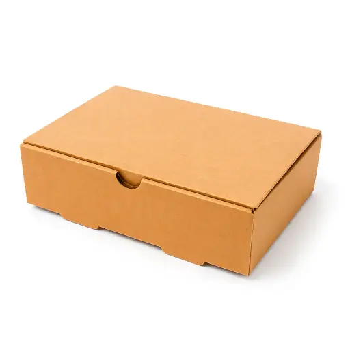 Cajas para hamburguesas - lomito 18,5x24,5x7,5cm microcorrugado