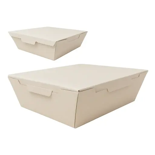 Estuche cartulina tapa bisagra biodegradable food truck x50 u.