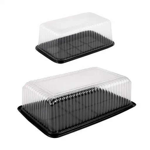 Tortera plastica porta torta rectangular con tapa - medidas varias -